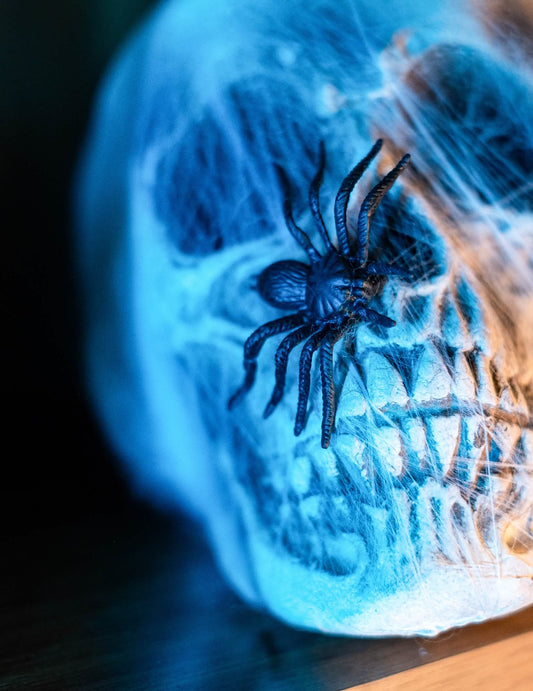 Gros plan d'une araignée sur un crâne du lot de 12 araignées Halloween