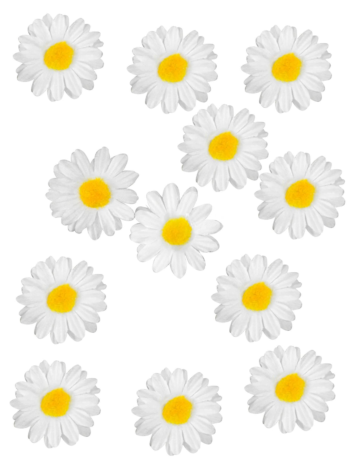 fehér és sárga margarétás asztaldíszek