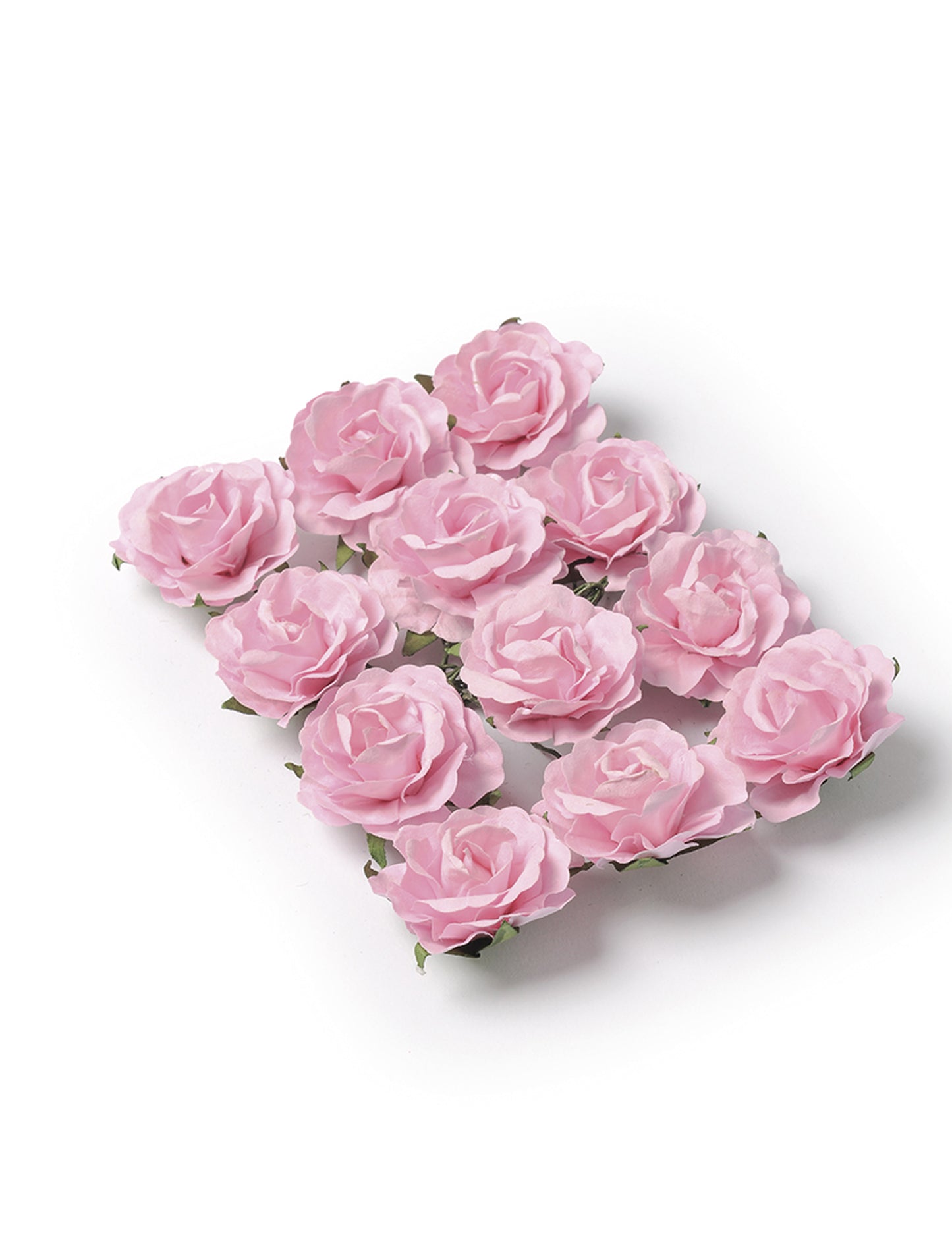 12 rózsa rózsaszín rózsia