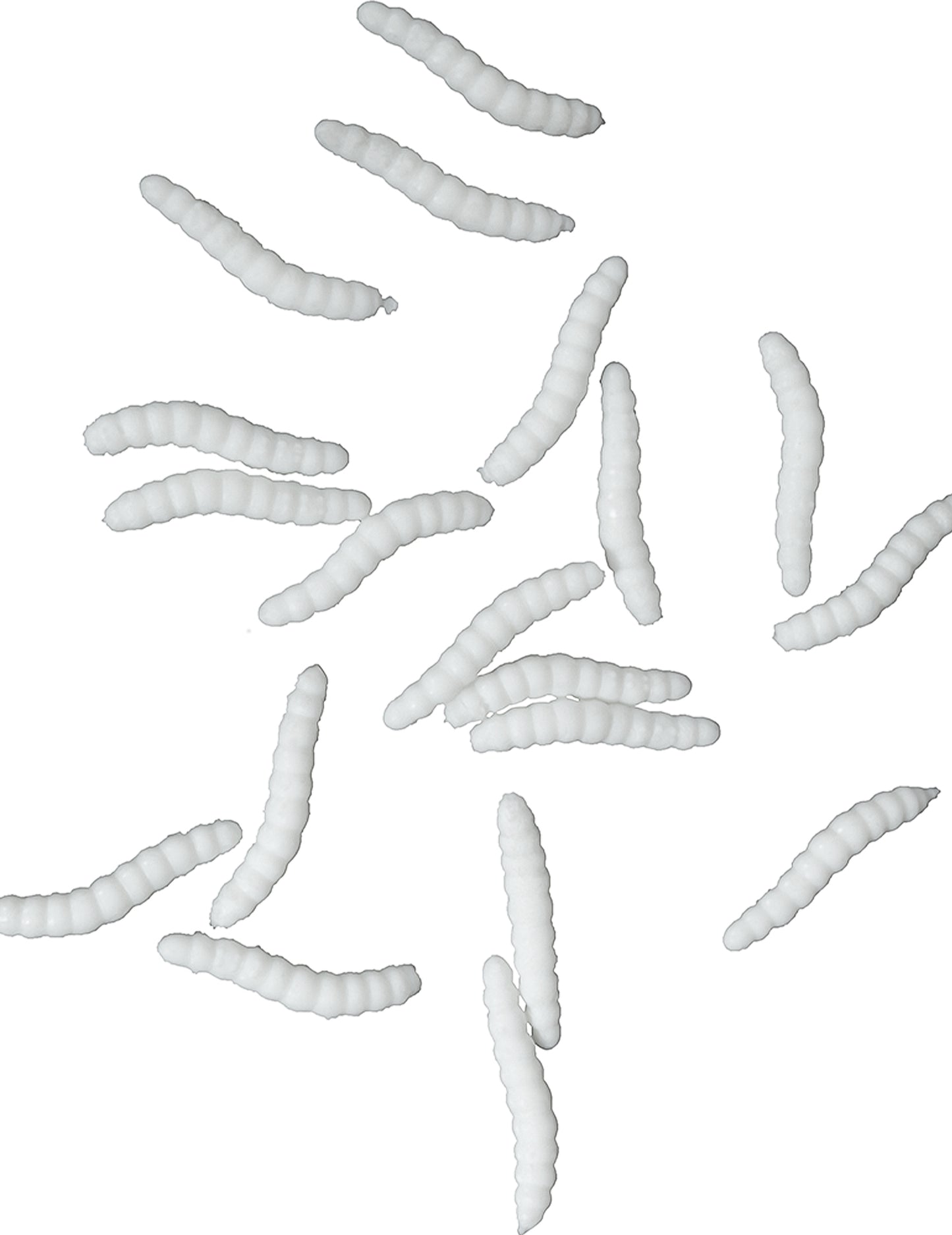 20 fehér dummy asticot 4 cm