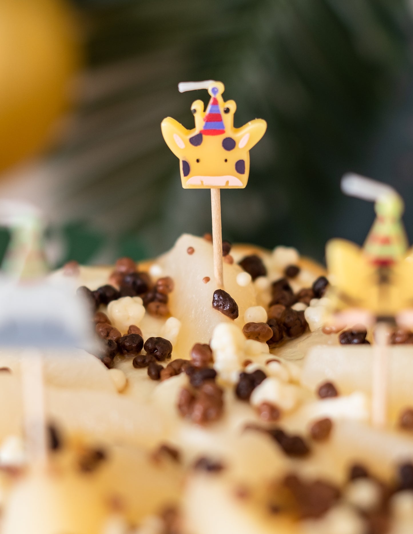 5 gyertya a vadon élő állatok csúcsán 2,5 x 2,5 cm