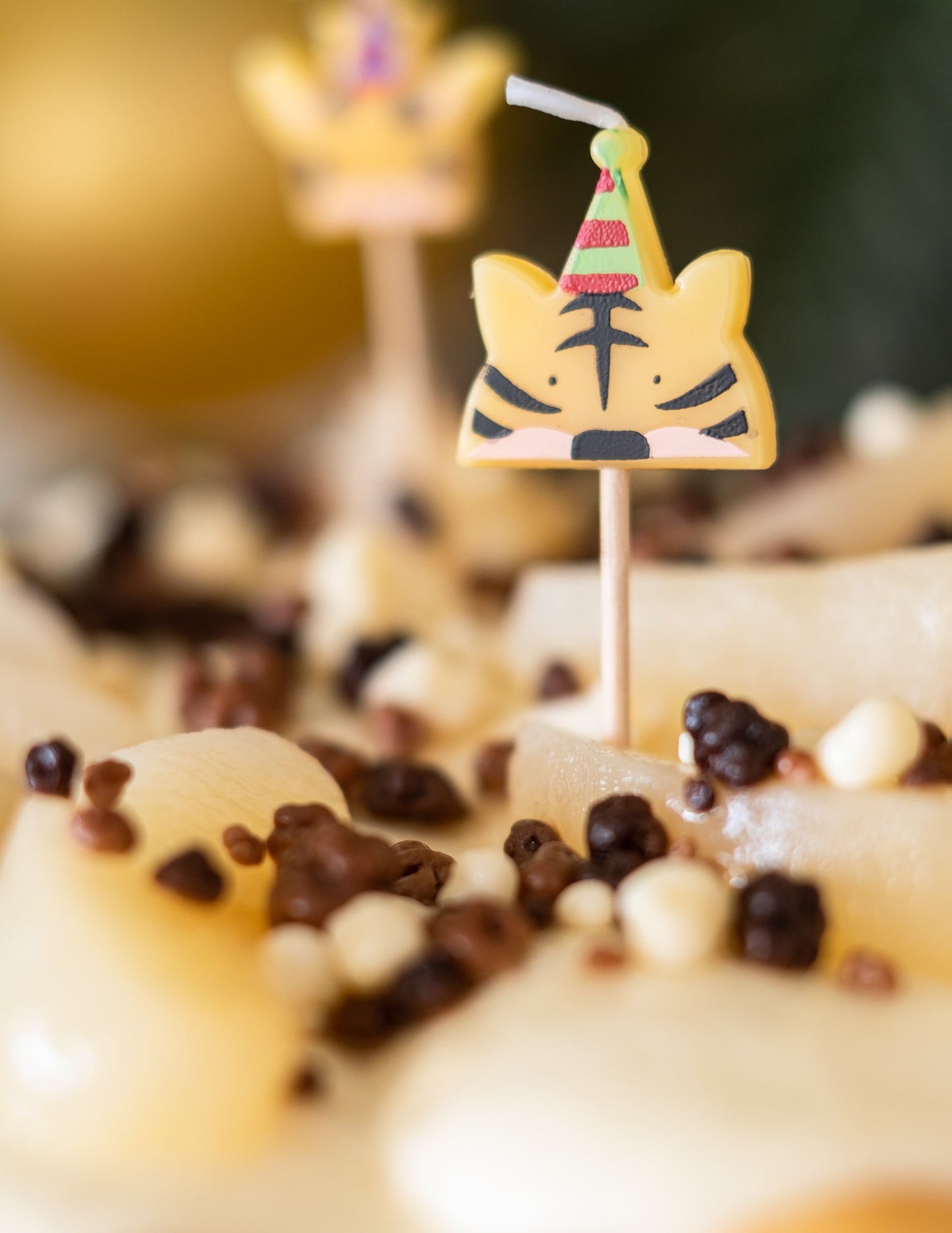 5 gyertya a vadon élő állatok csúcsán 2,5 x 2,5 cm