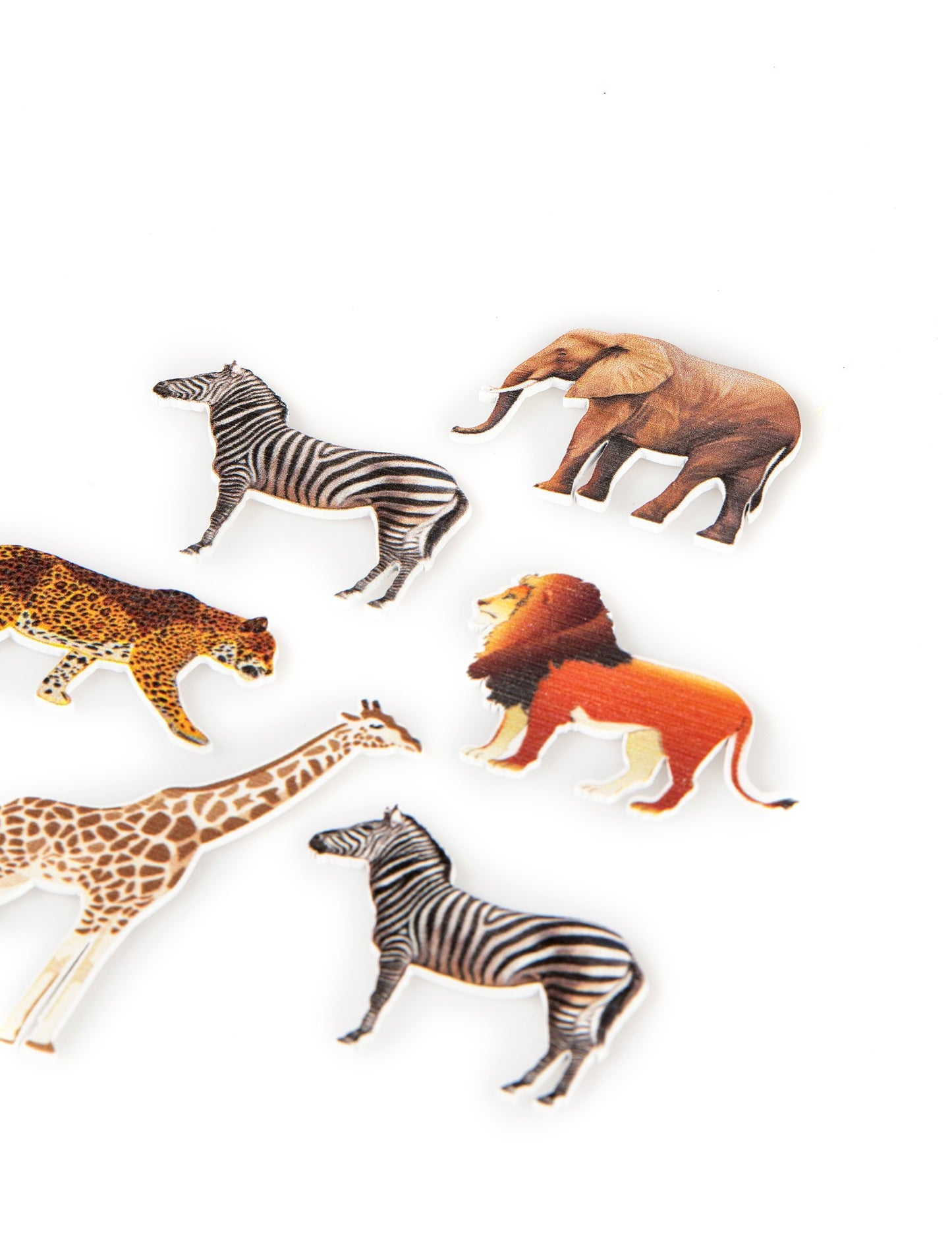 6 A Táblázat Konfetti Állatok a Savannah -ból 7,5 x 5,5 cm