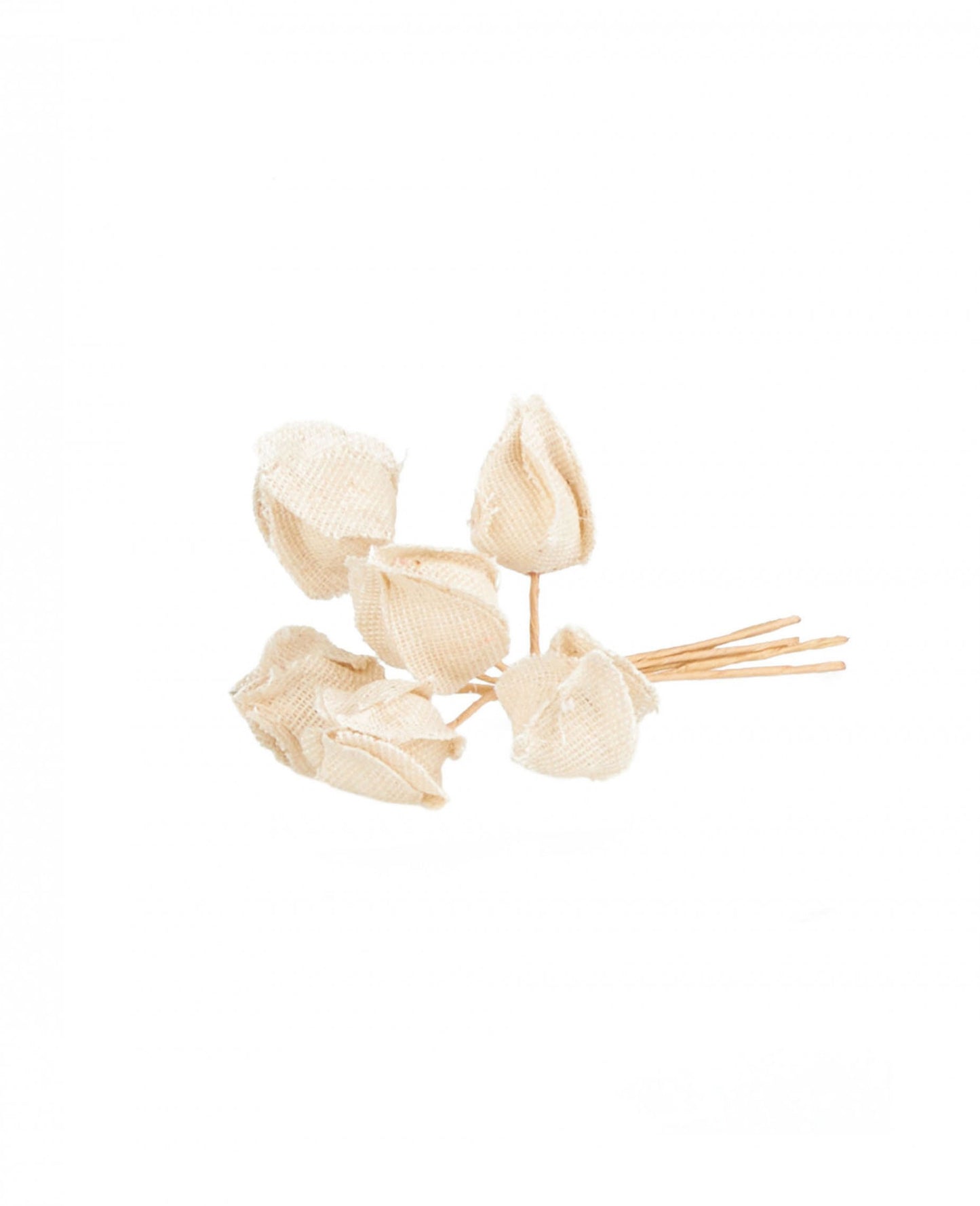 6 db szerelmeskalitka virág szárakon 2,8 x 12 cm rusztikus dekoráció