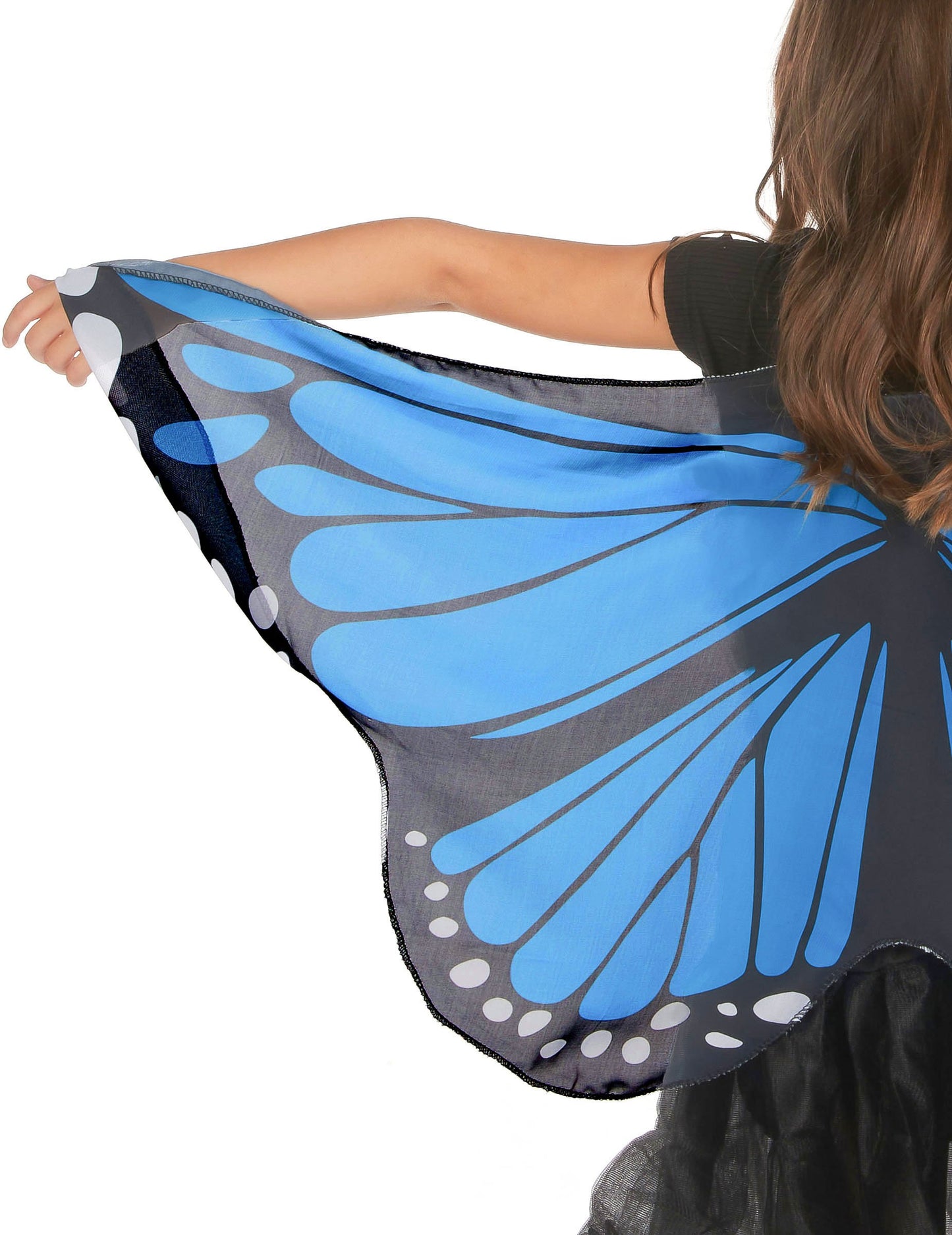 Kék és fekete pillangó szárnyak