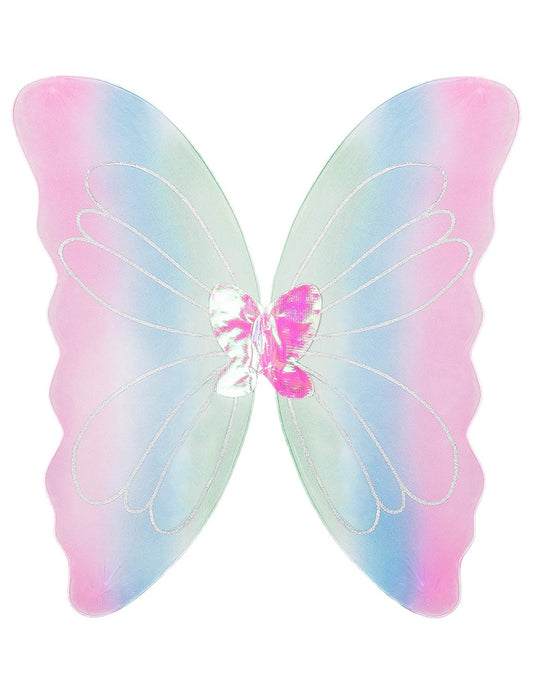 Vue de face des ailes de papillon multicolores