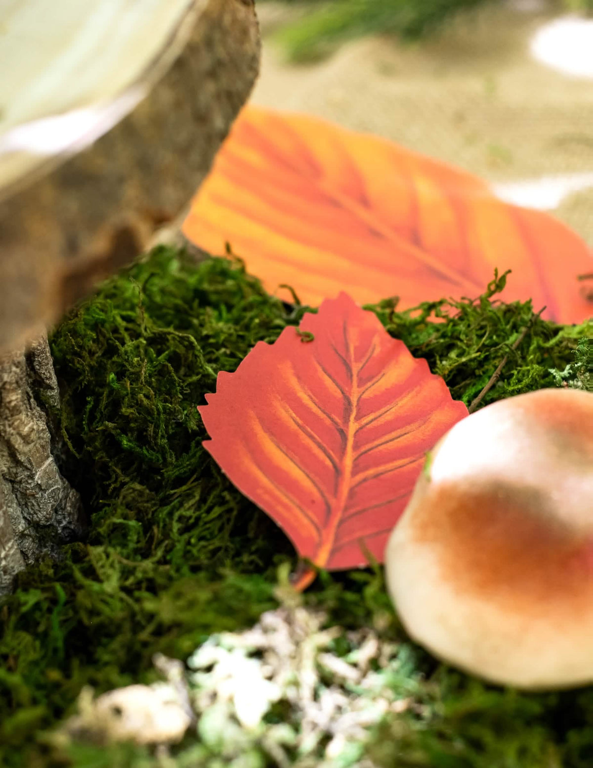 Gros plan sur une feuille rouge de l'assortiment de 11 feuilles d'automne décoration en carton