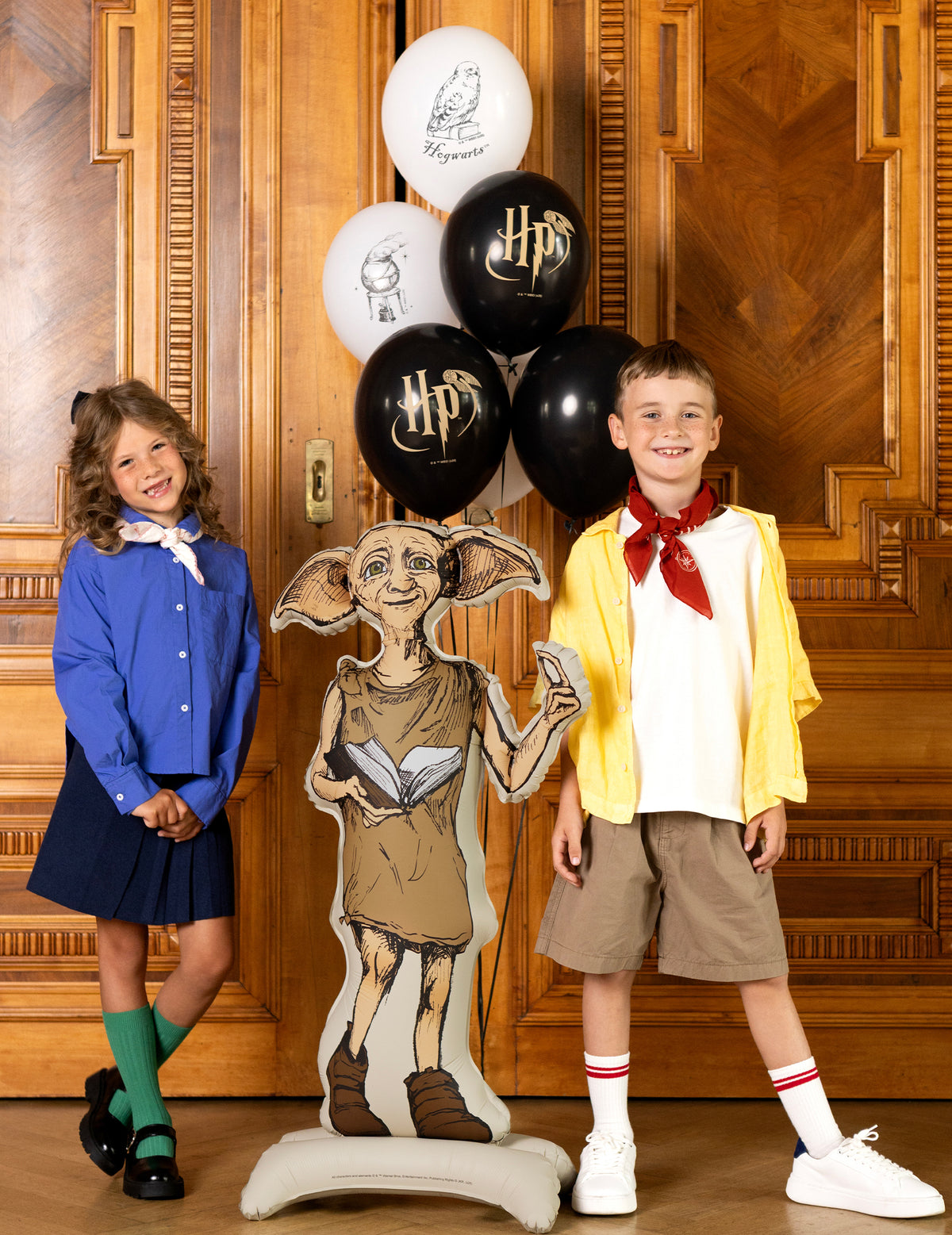 Harry Potter™ Dobby álló fólia lufi 54x105 cm