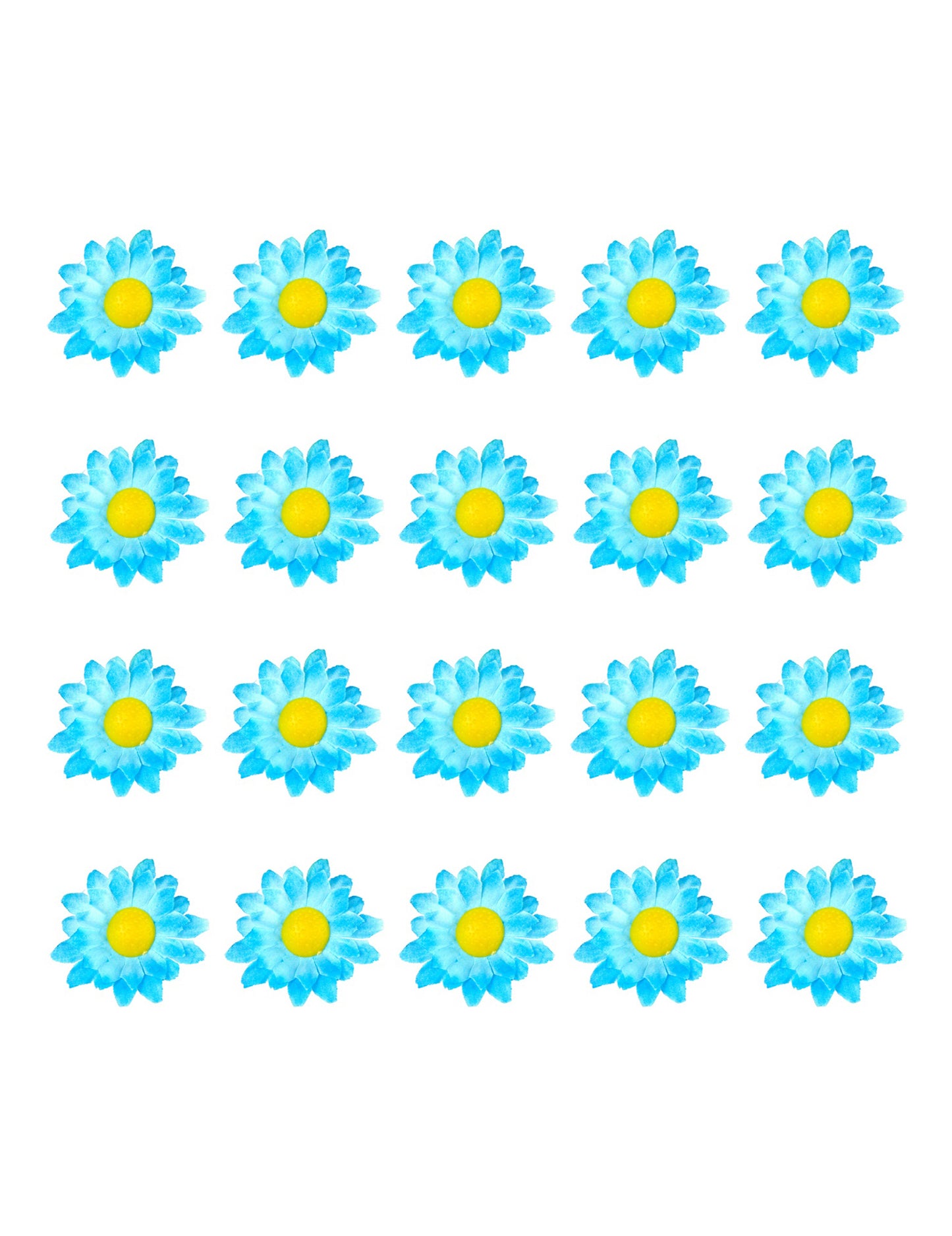 20 kék százszorszép virág doboza