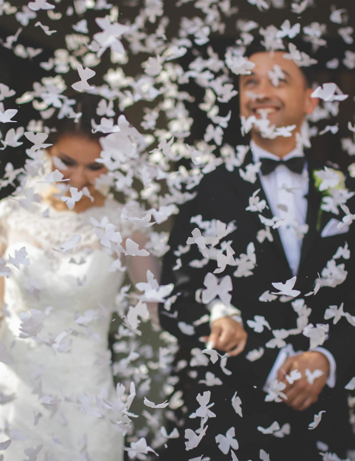 Effet de pluie de confettis du canon à confettis papillons blancs