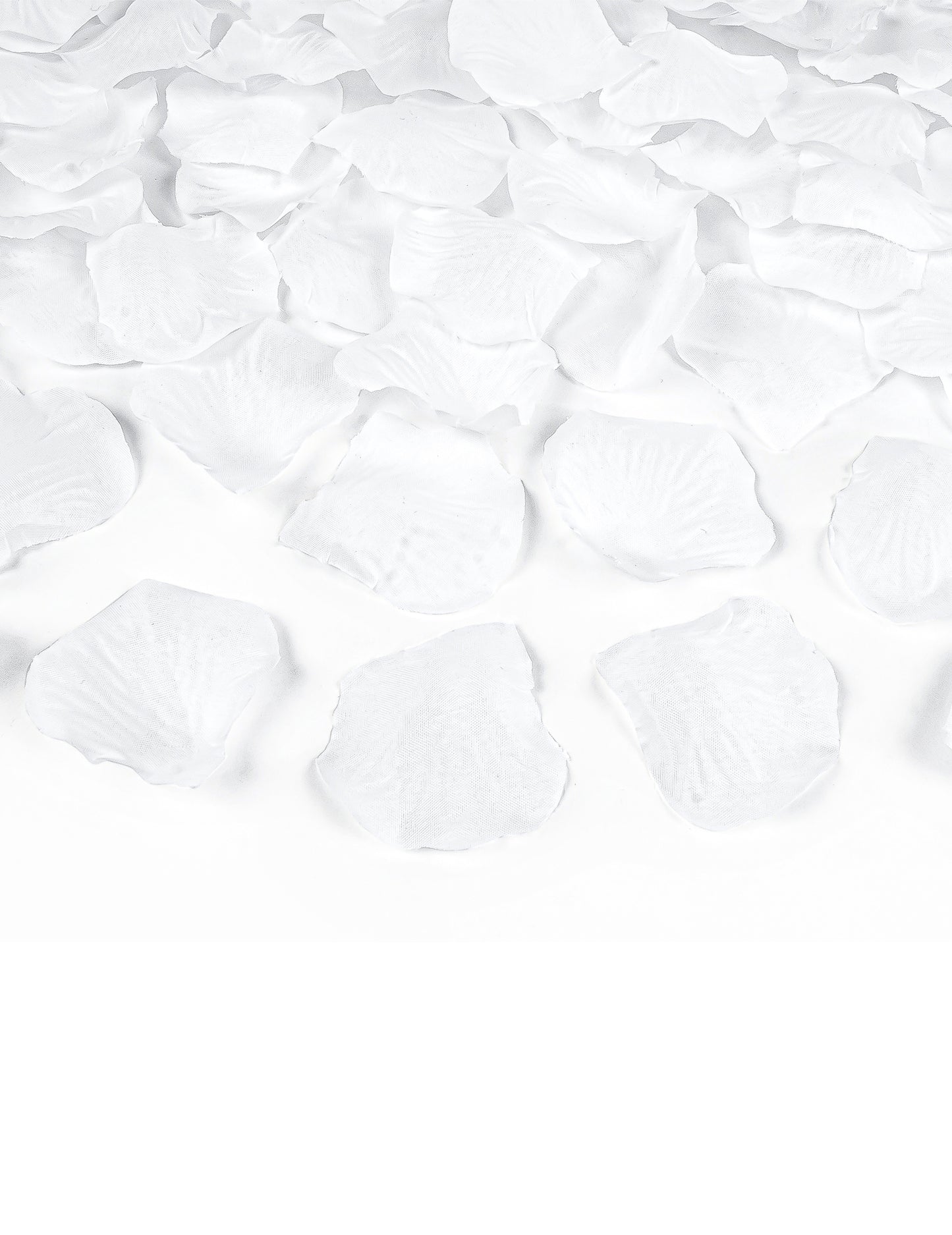 Détail des pétales du canon à confettis pétales blanc