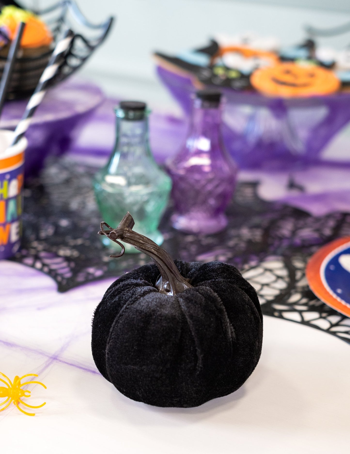 Fekete bársony tök 10 cm