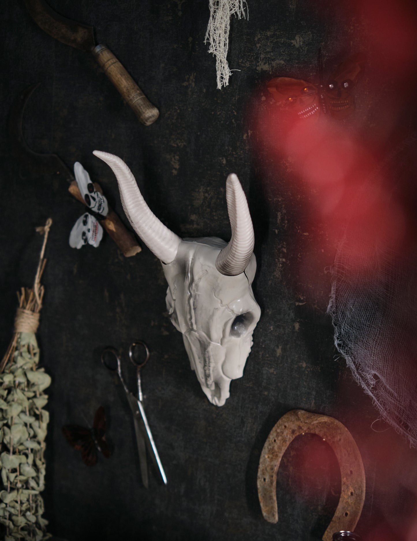 14 x 40 cm -es bivaly fej koponya