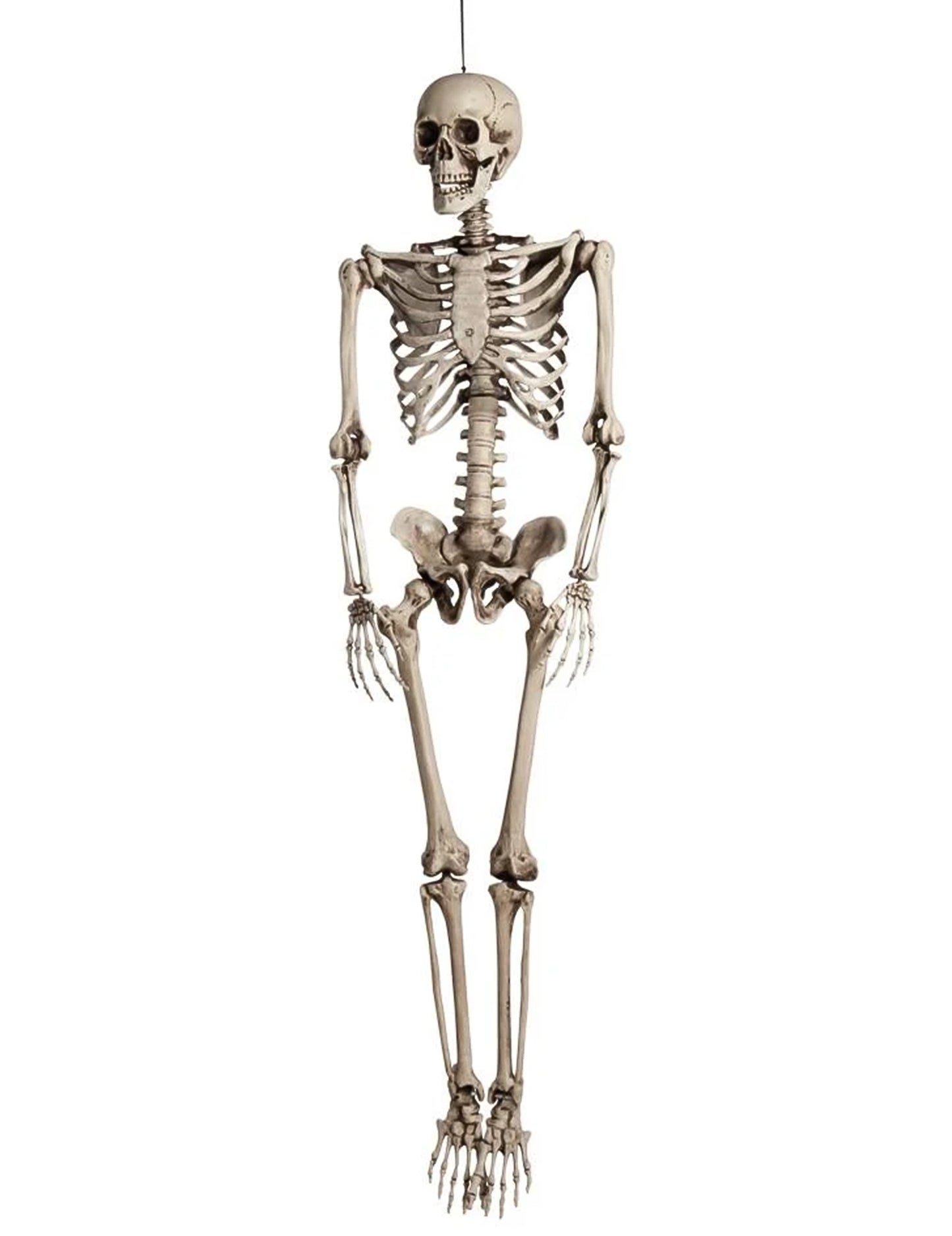Dekoráció az emberi tait csontváz akasztásához 160 cm