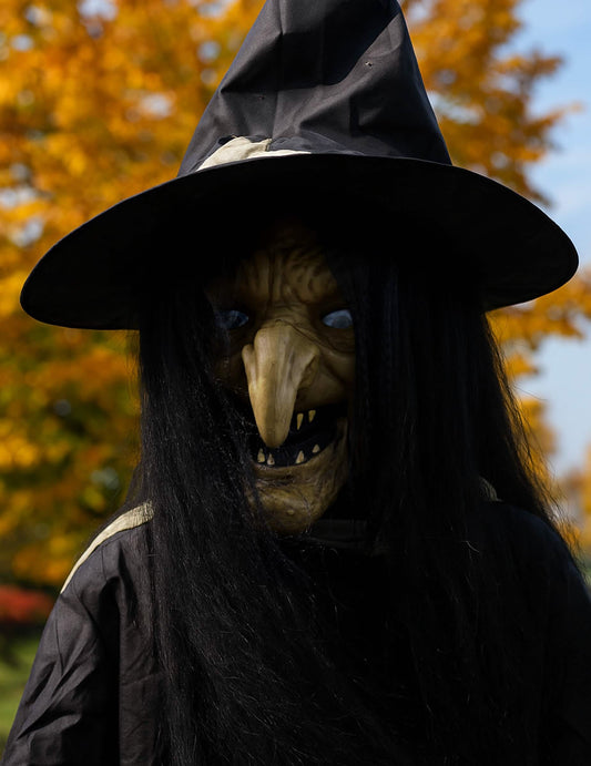 Gros plan sur le visage de la décoration animée sorcière géante