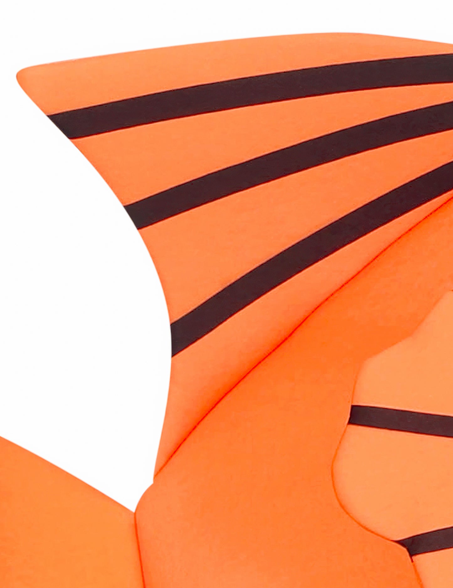 A gyermekek bohóc halak álcázása