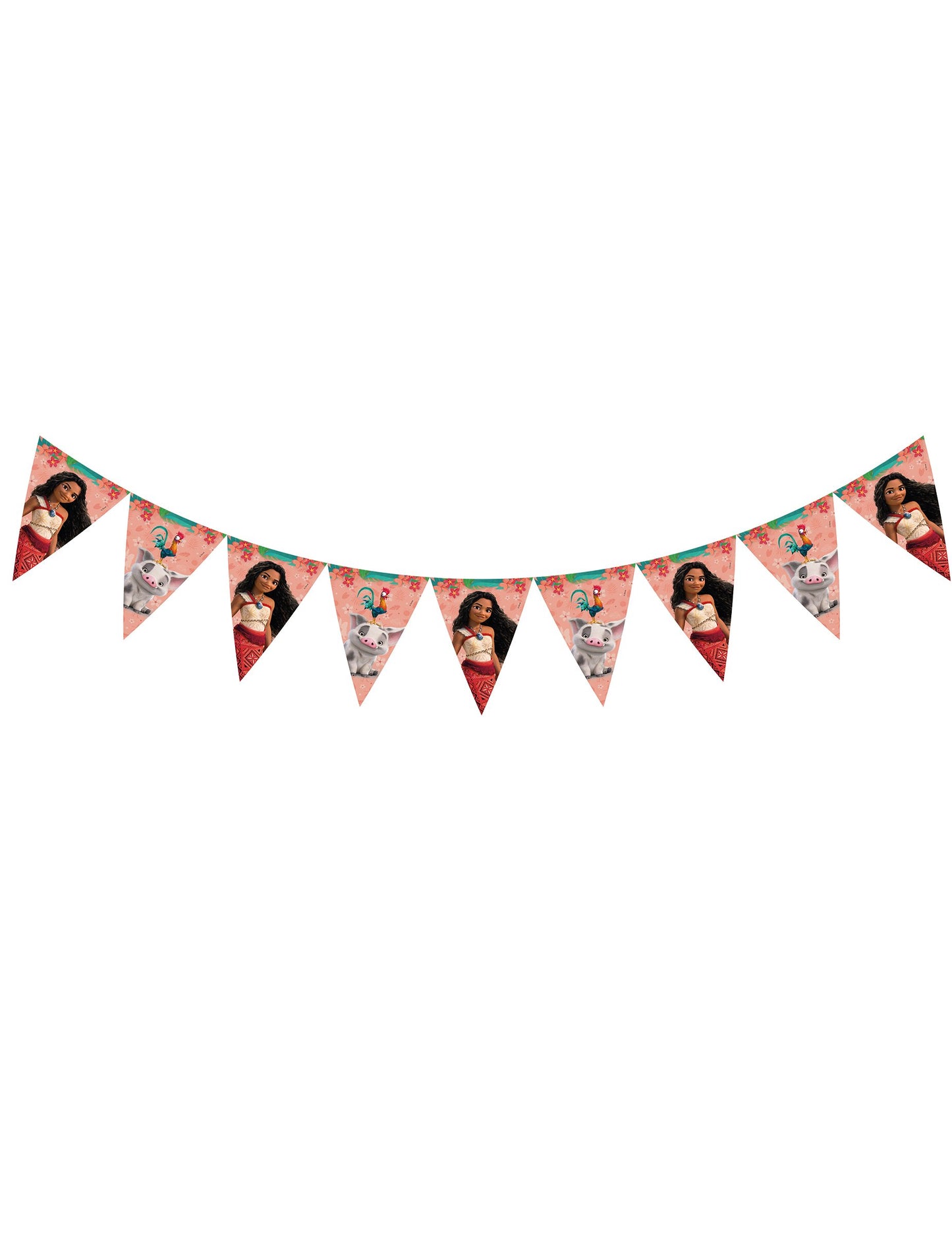 Garland Pennant Vaiana 2