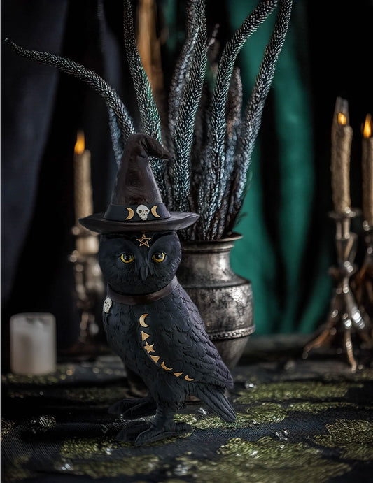 Vue d'ensemble du hibou de sorcier occulte