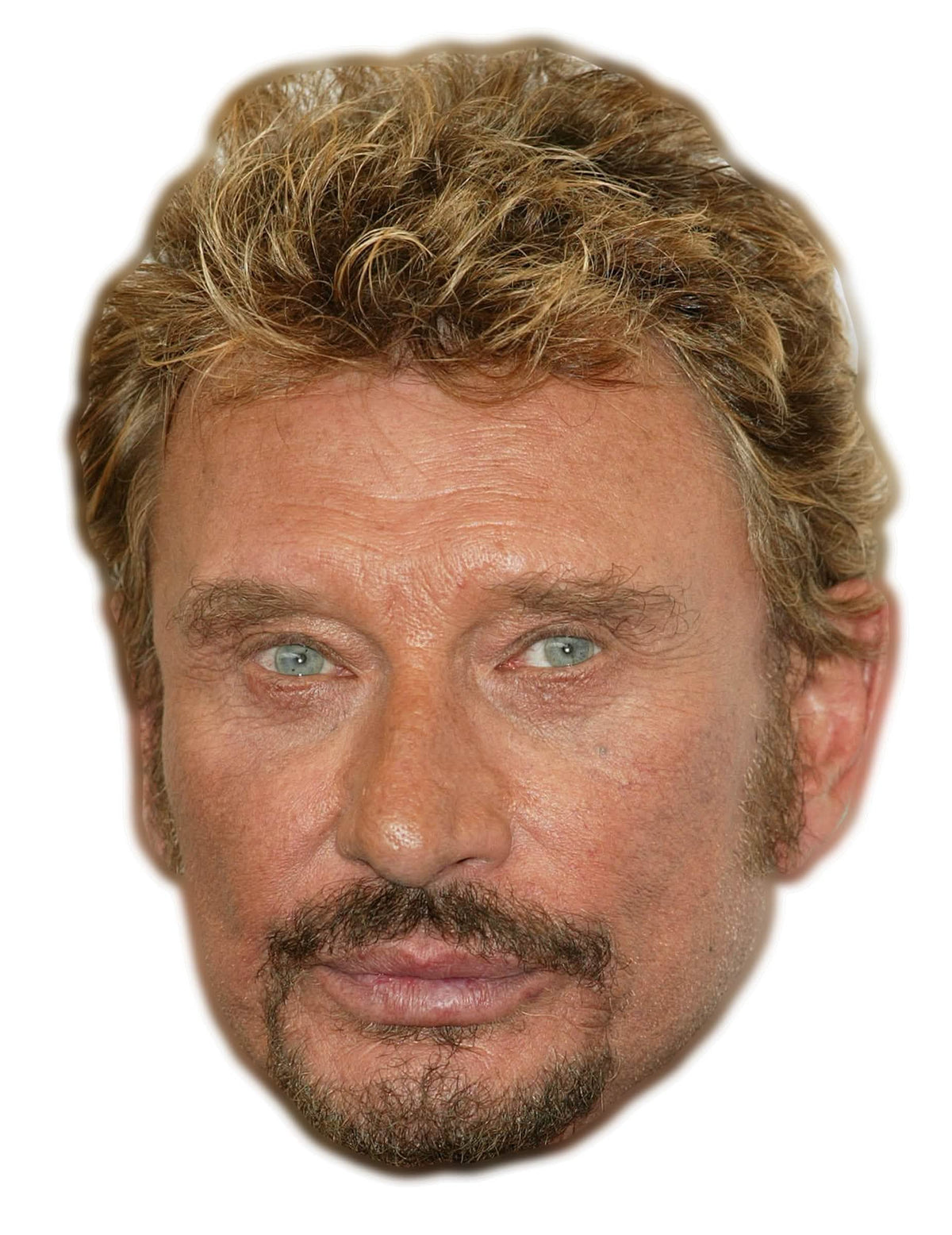 Valósághű Johnny Halliday kartonmaszk felnőtt számára