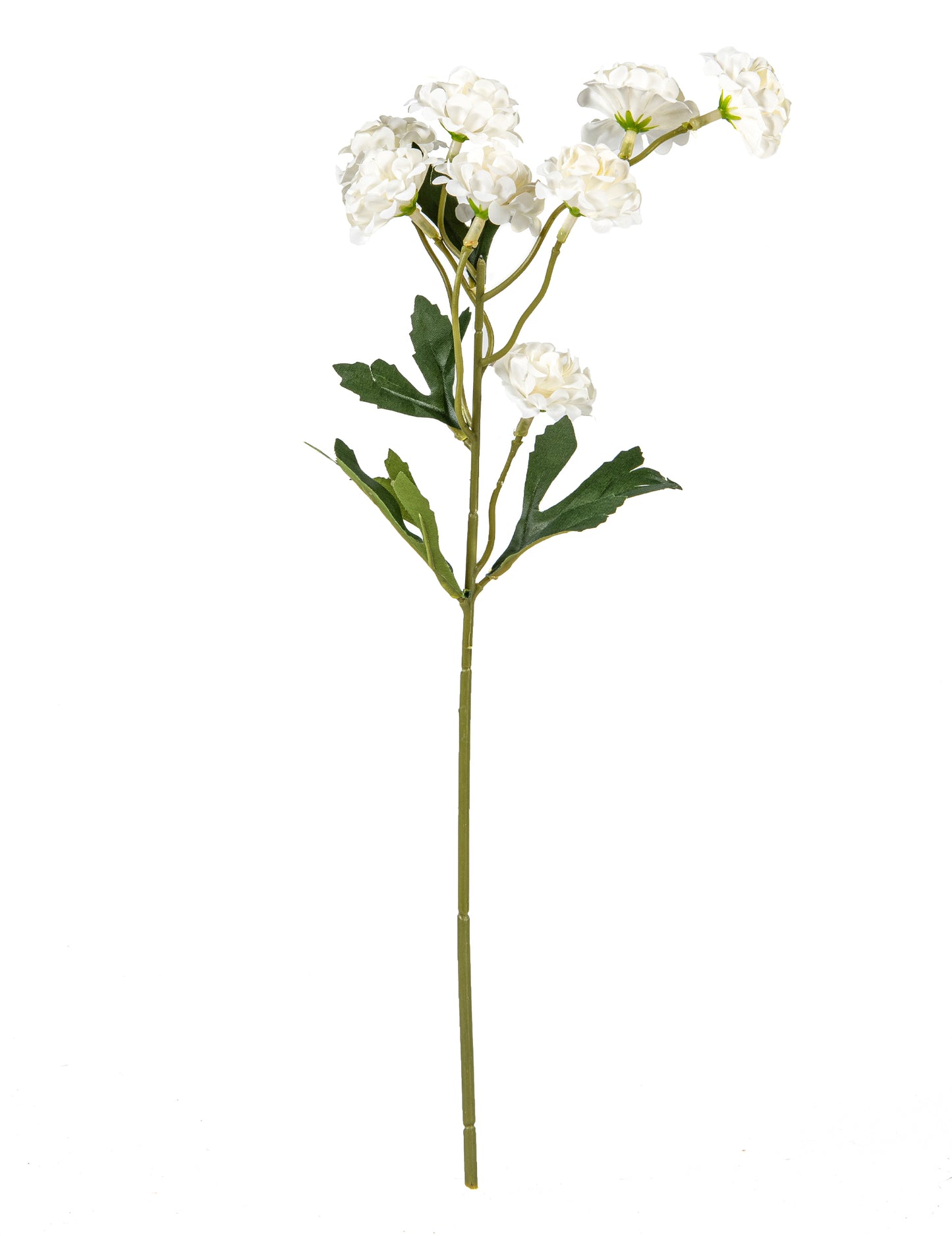 Műfehér szegfű száron 42 cm csokorhoz