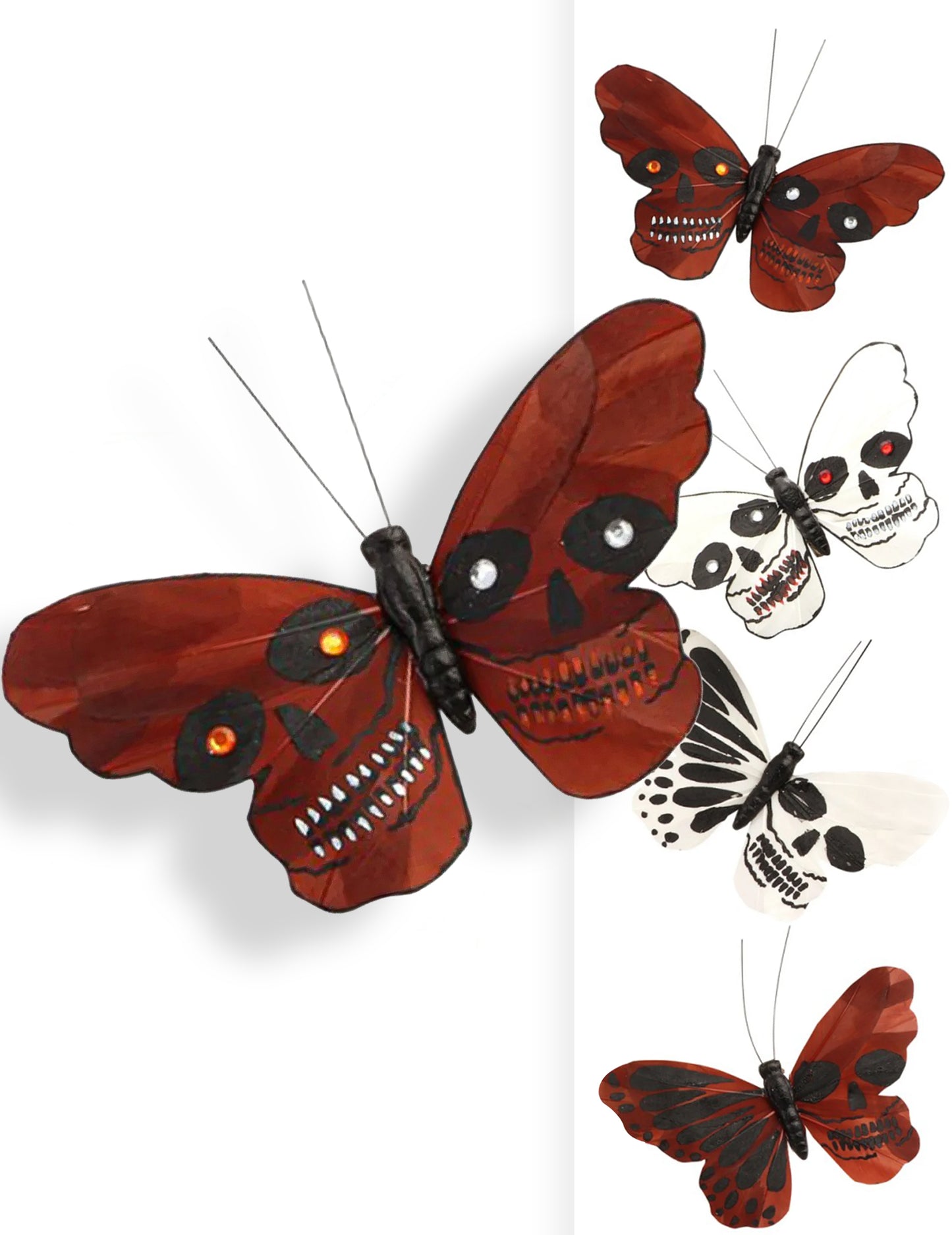 Halálfej pillangó 13 x 10 cm