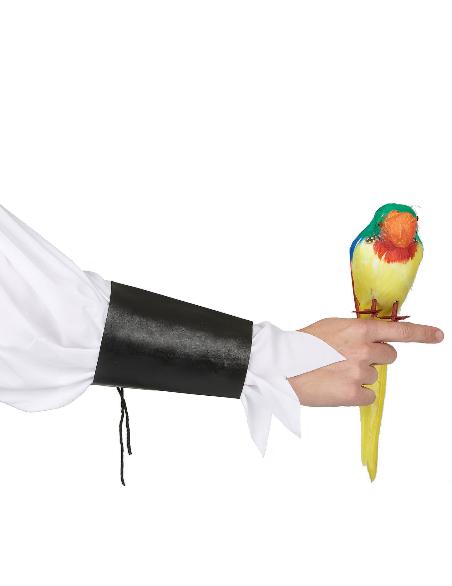 Felnőtt sárga, zöld és piros Hawaii-szigeteki papagáj