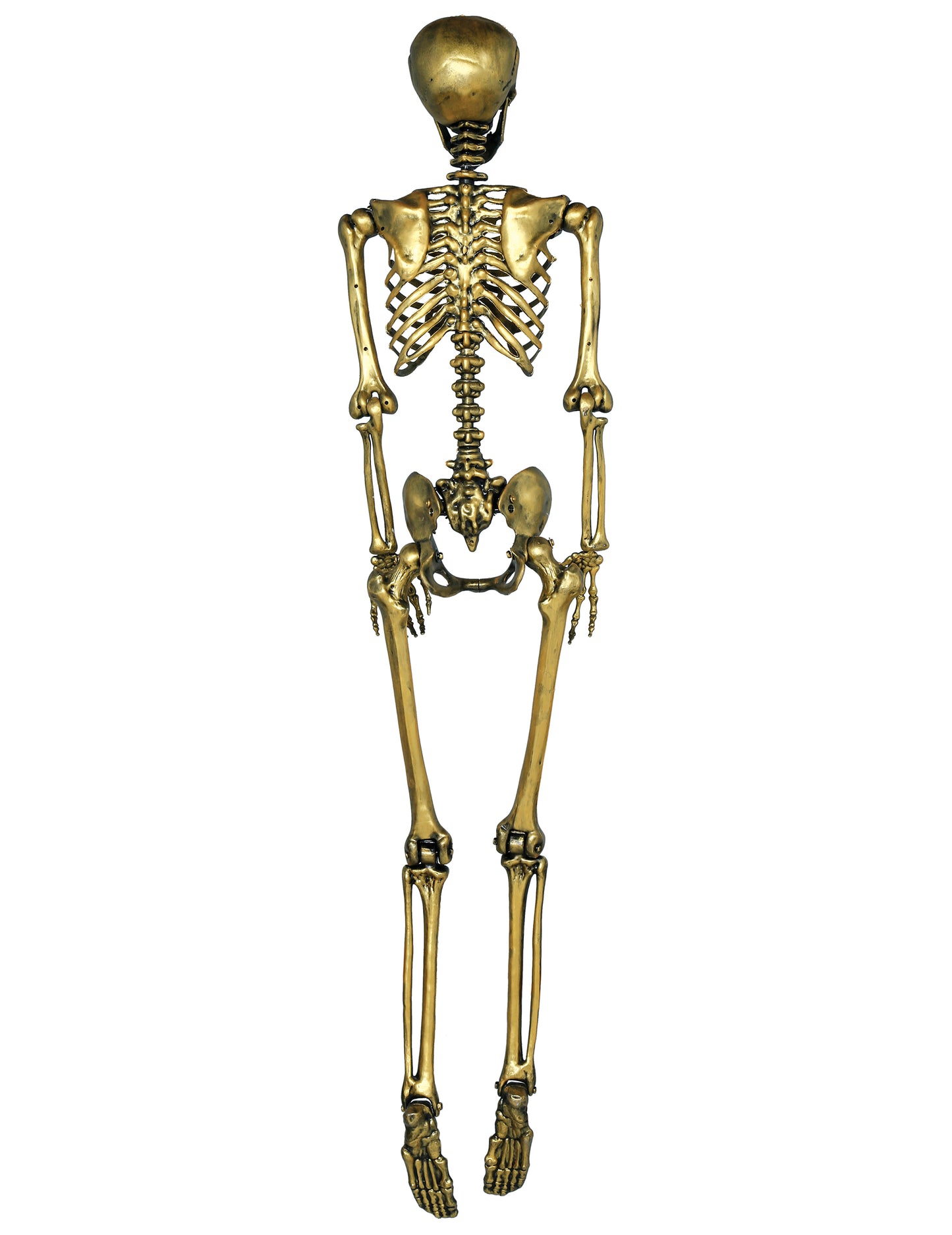 Arany függő csontváz 90 cm
