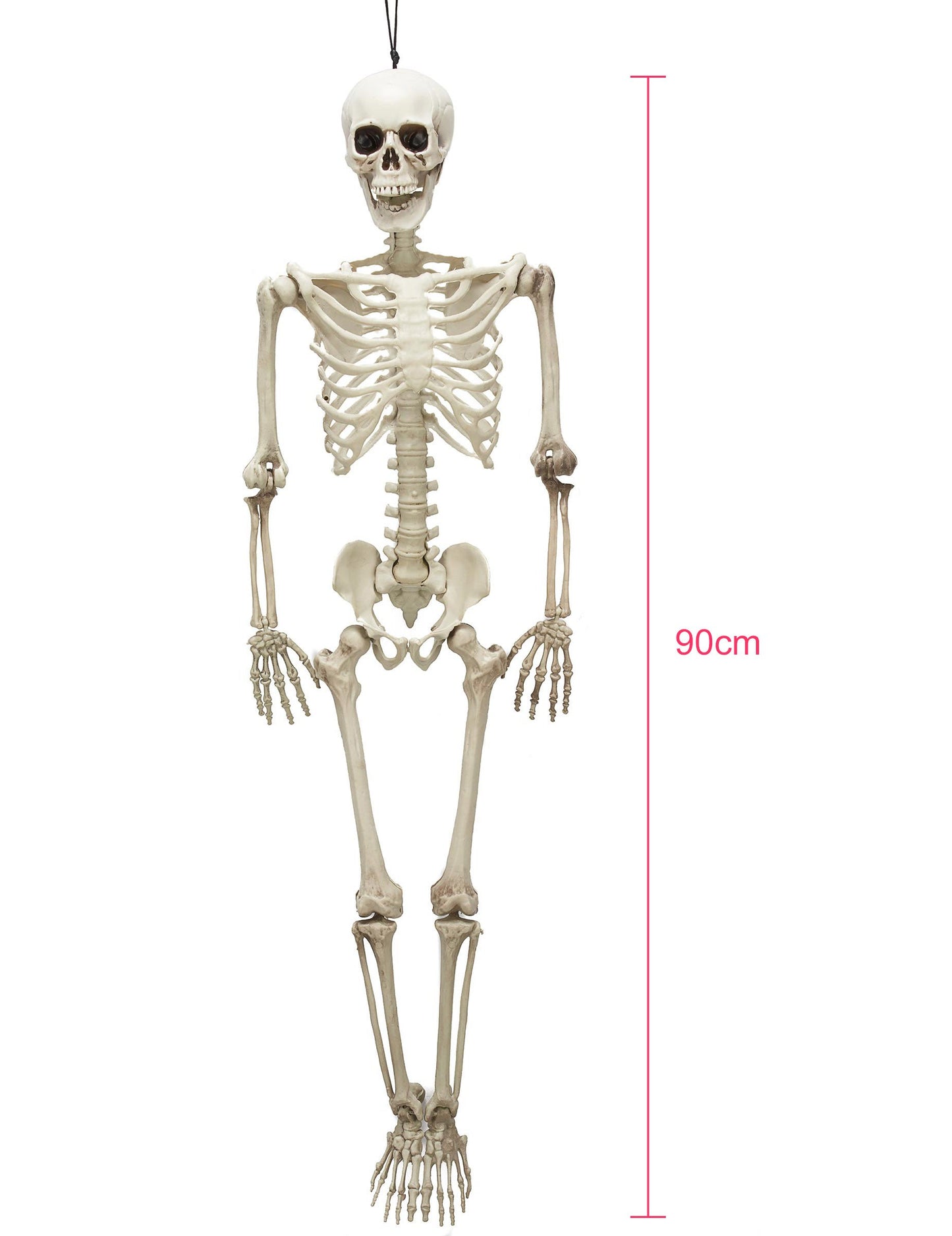 Détail de la hauteur de 90 cm du squelette articulé Halloween