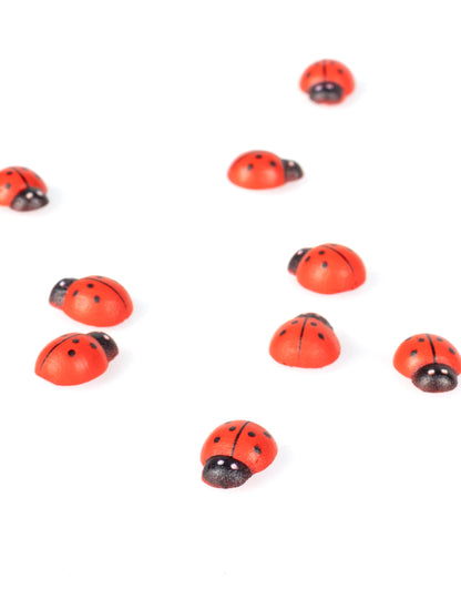 Vue d'ensemble des coccinelles en bois coccinelle
