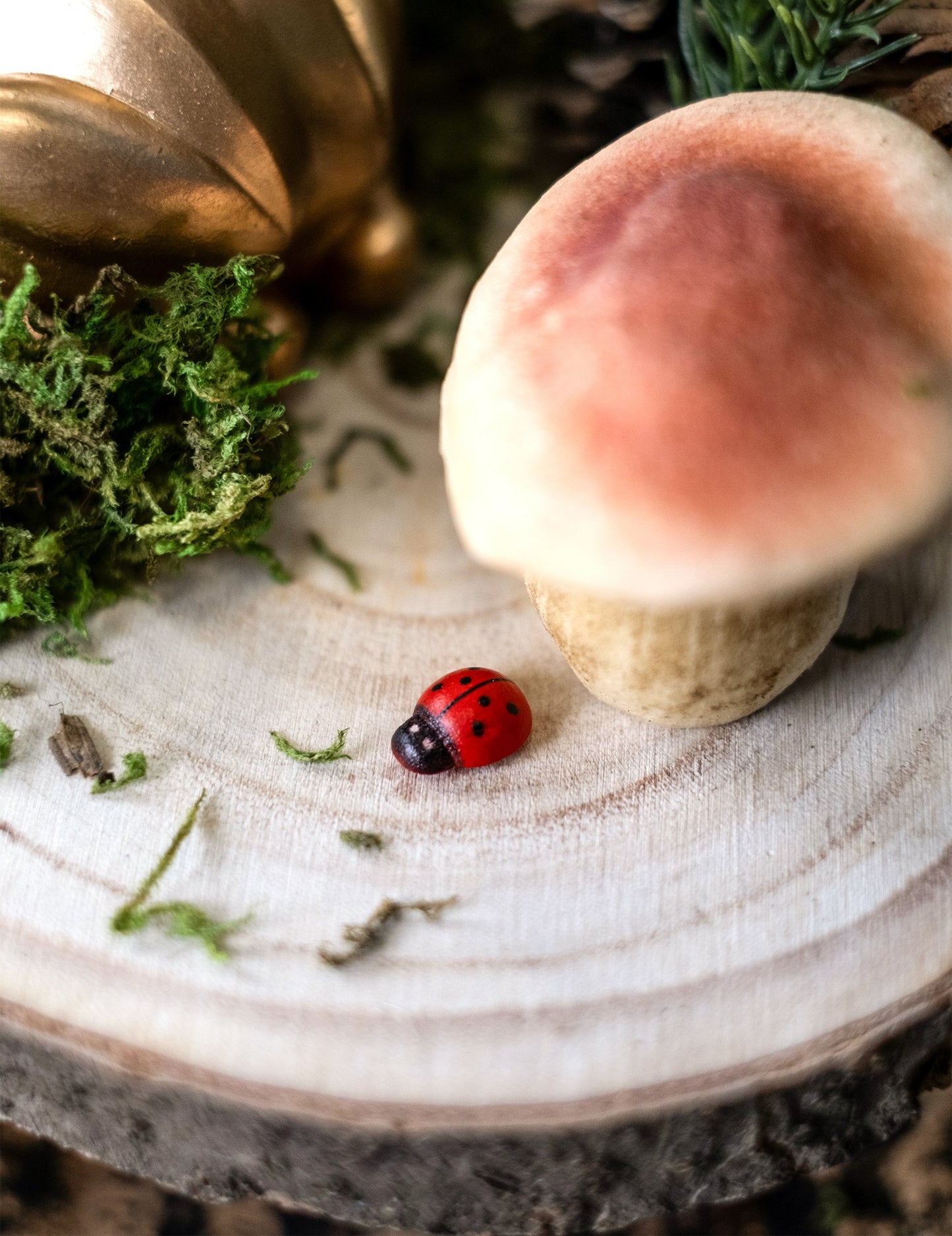 10 piros-fekete fa katicabogár 1,5 cm ünnepi dekorációhoz 