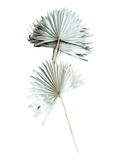 10 fehér pálmalevél 55 cm