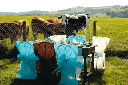 10 prémium csokoládé színű székhuzat 50 x 95 cm csomózott nem szőtt szövet