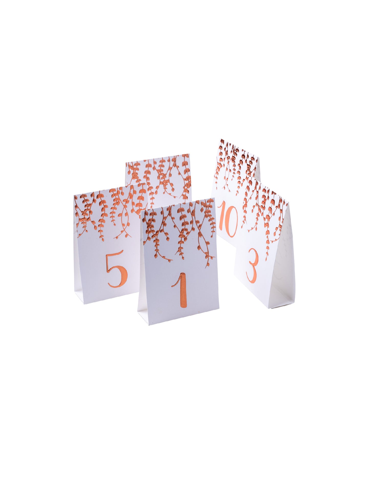 10 db rozéarany színű, növényi alapú kartonból készült asztali filctoll, 10 x 15 cm lombozattal