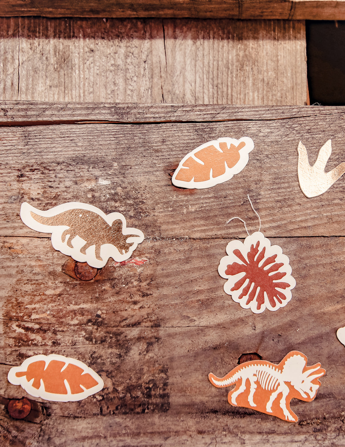 Gros plan sur les motifs variés des confettis Dinosaures Joyeux Anniversaire