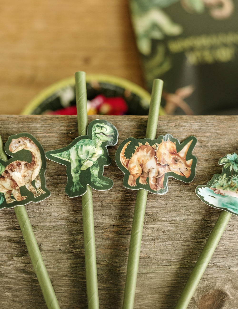 Gros plan sur les motifs des 12 pailles dinosaures