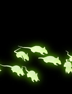 Fluoreszkáló dekoráció