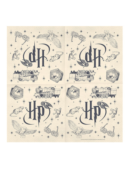 20 Serviettes Harry Potter™ 33 x 33 cm