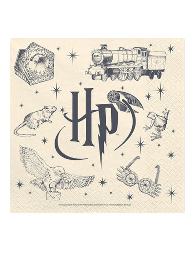 20 db Harry Potter™ szalvéta 33 x 33 cm