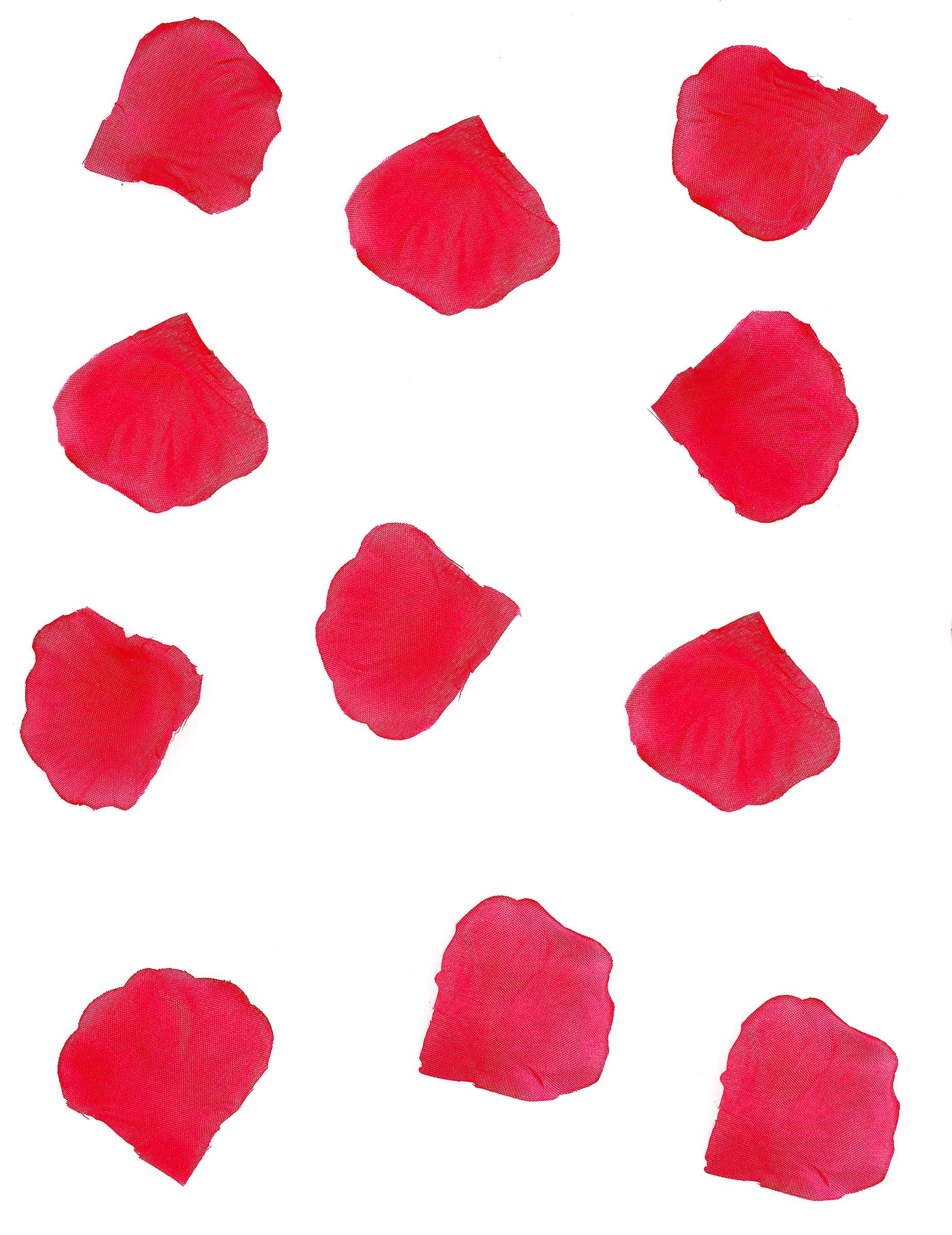 Pétales de rose pour décoration de fête rouges