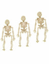 Lot de 3 décorations squelettes pour Halloween beige
