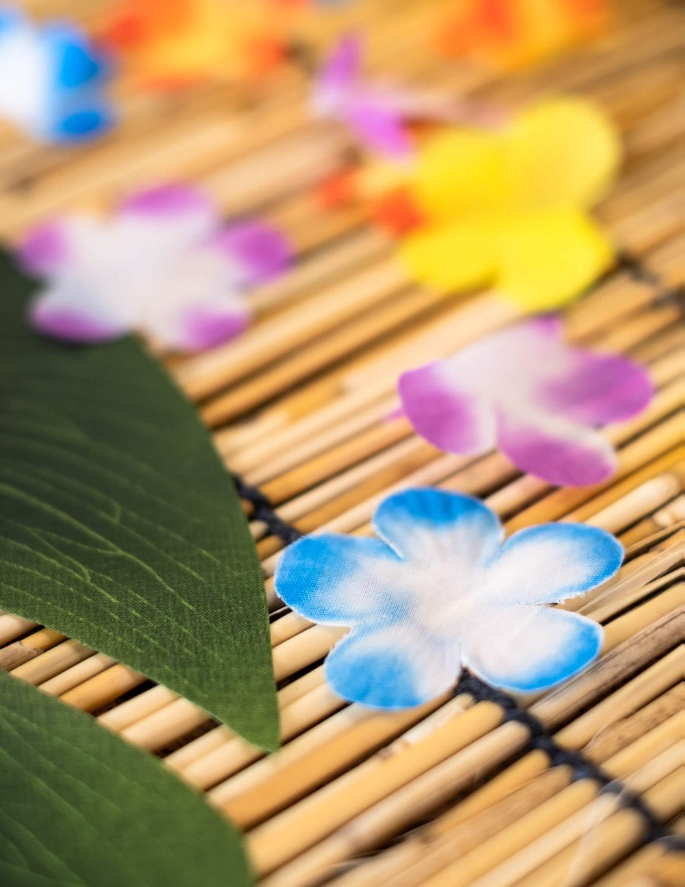Közelkép a díszvirágok színes szirmairól hawaii