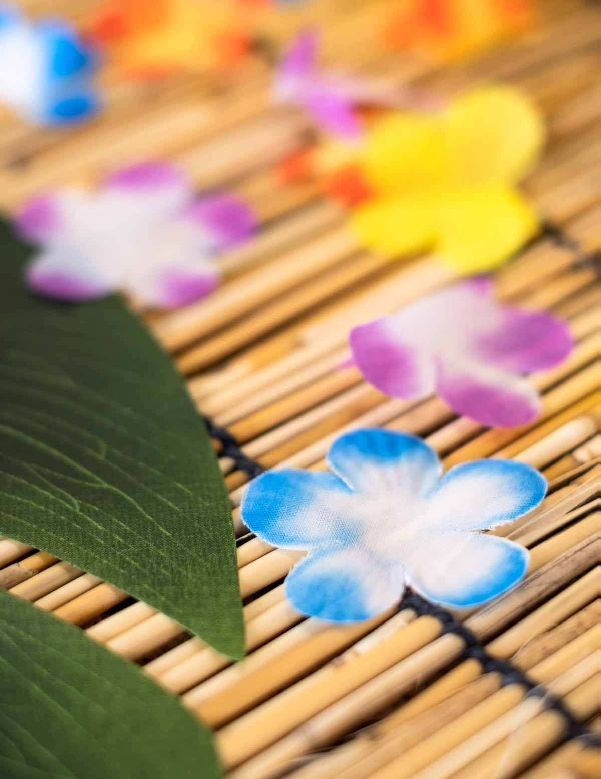 Közelkép a díszvirágok színes szirmairól hawaii