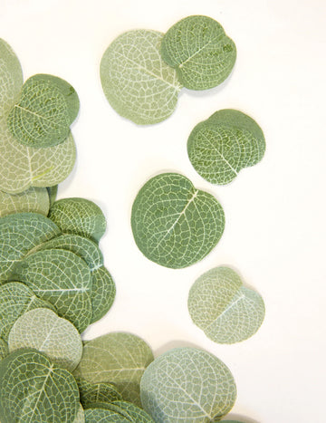 40 eukaliptuszlevél konfetti, 2,5-3 cm Természetes esküvői anyag
