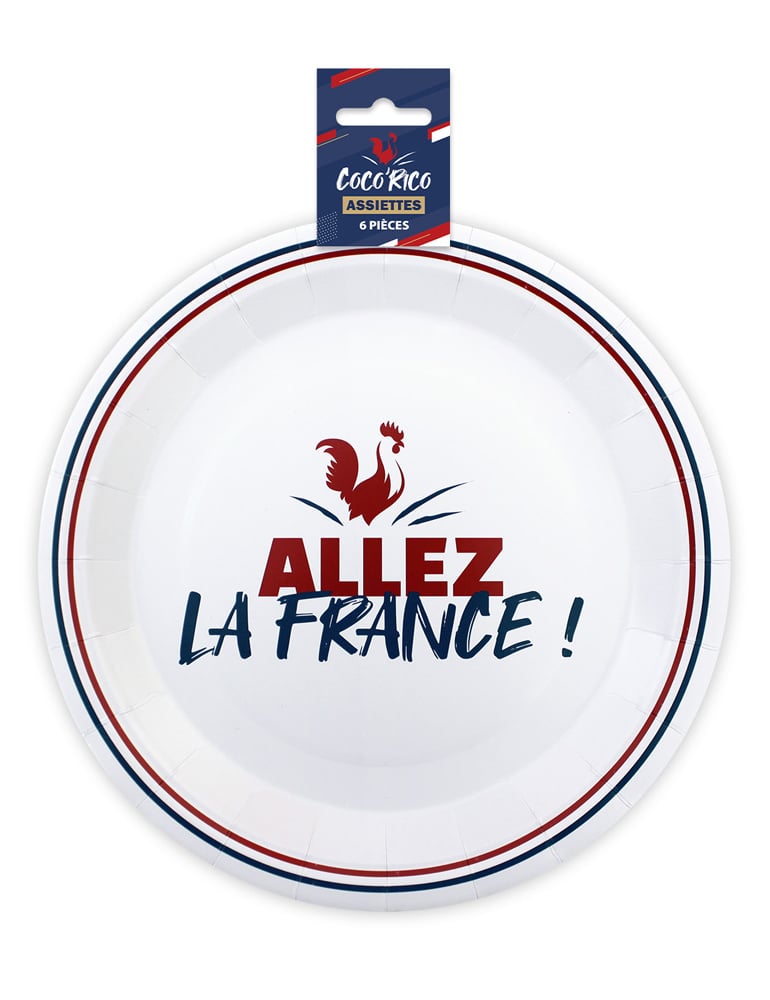 Vue de l'emballage du lot d'assiettes en carton Allez la France