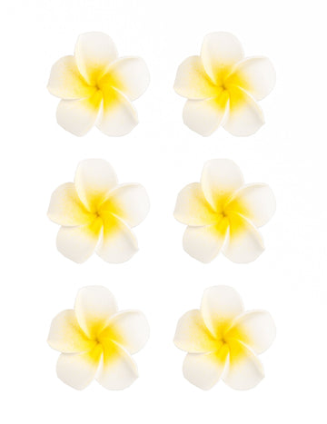 6 db műfehér monoi virág, 5 db cm ragasztóhab