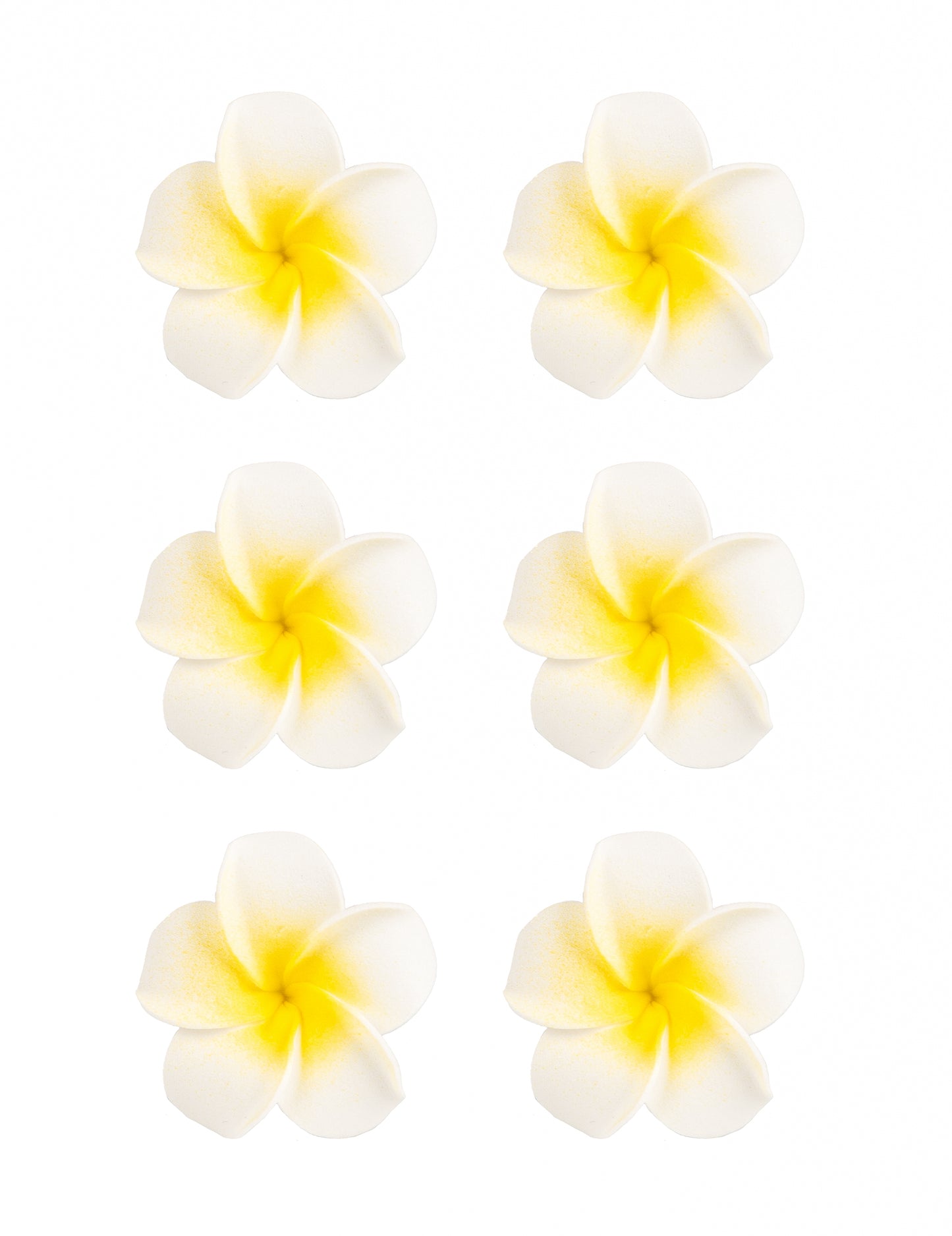 6 fleurs de monoï artificielles pour décoration blanches en mousse adhésives