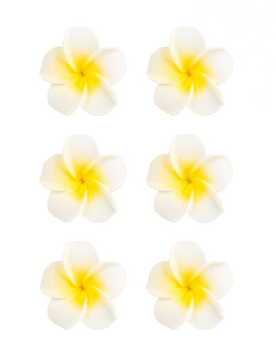 6 fleurs de monoï artificielles pour décoration blanches en mousse adhésives