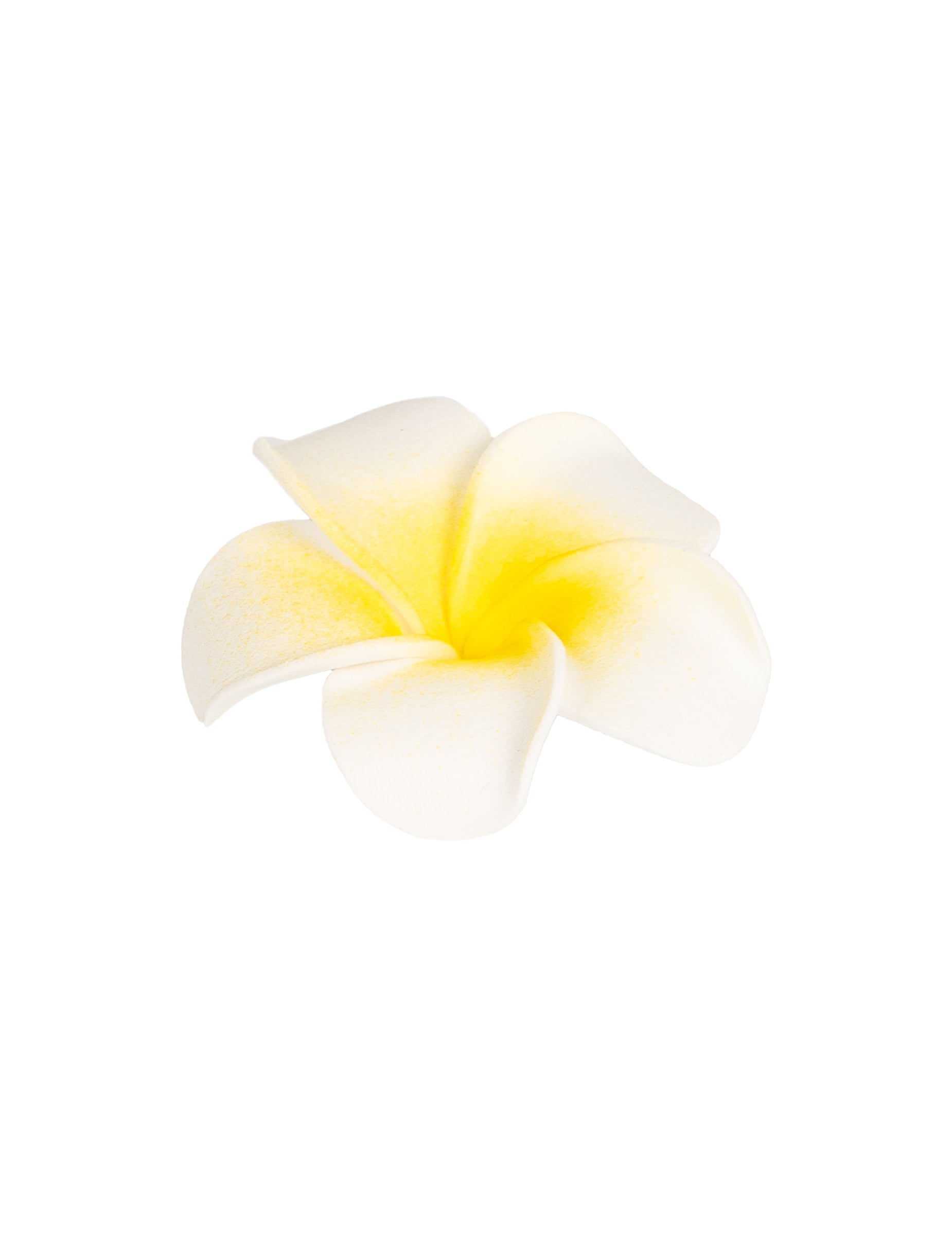 Vue de profil d'une fleur du lot de 6 fleurs de monoï artificielles pour décoration
