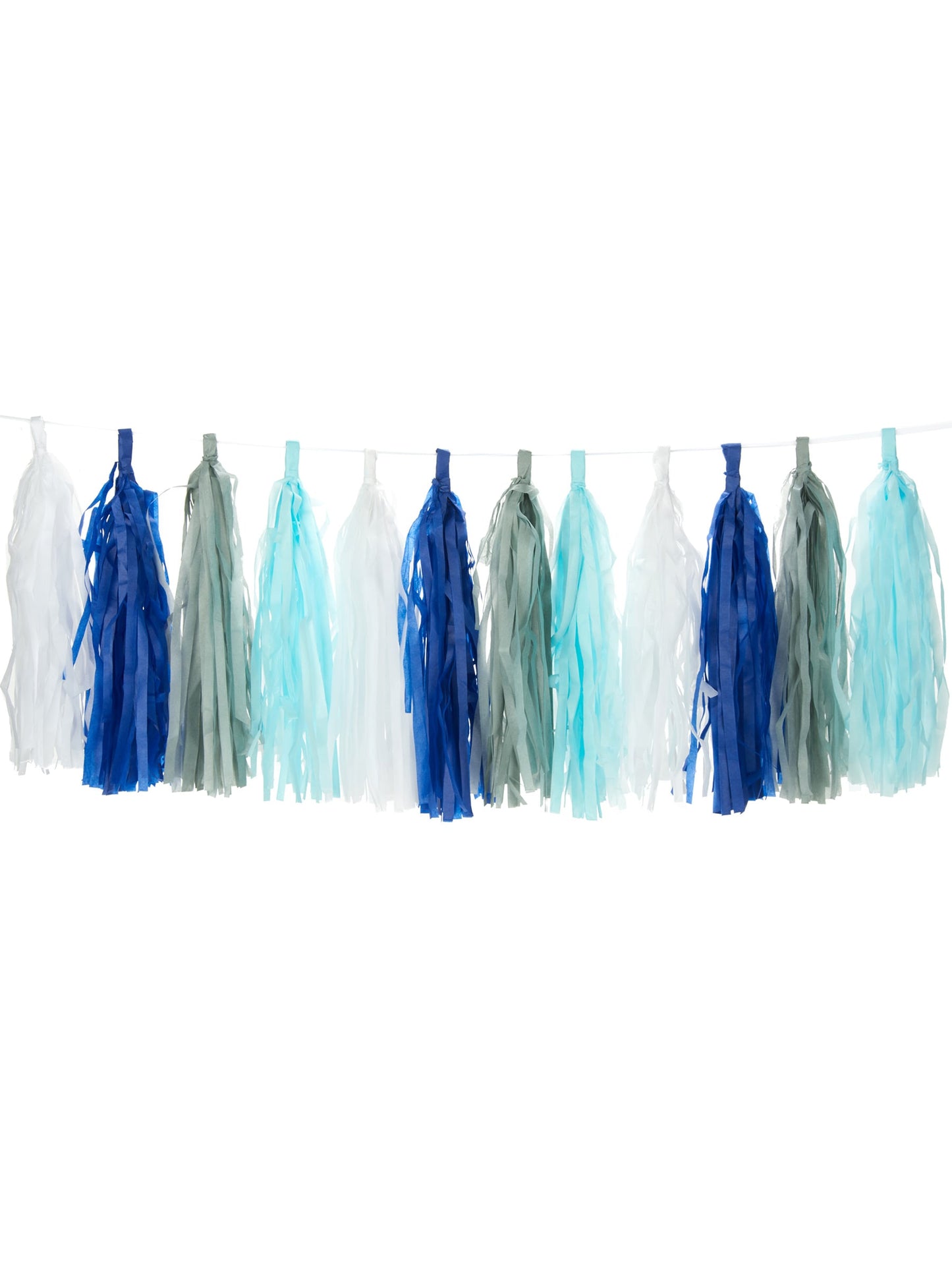 Guirlande du pompon tassel pour décoration de fête