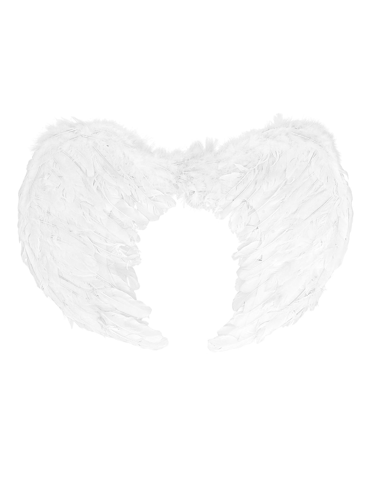 Vue de face des ailes d'anges